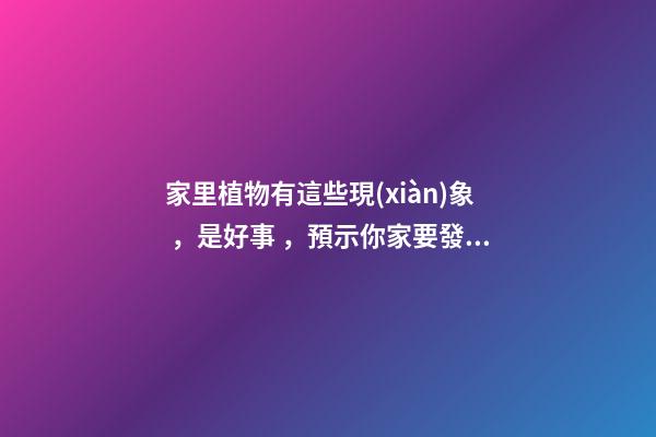 家里植物有這些現(xiàn)象，是好事，預示你家要發(fā)大財了！